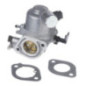 Carburateur Briggs et Stratton - 594207