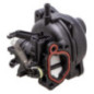 Briggs and Stratton Carburetor - 594058