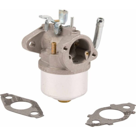 Carburatore Briggs e Stratton - 594015WM