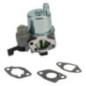 Carburateur Briggs et Stratton - 593351