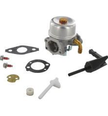 Carburateur Briggs et Stratton - 591299