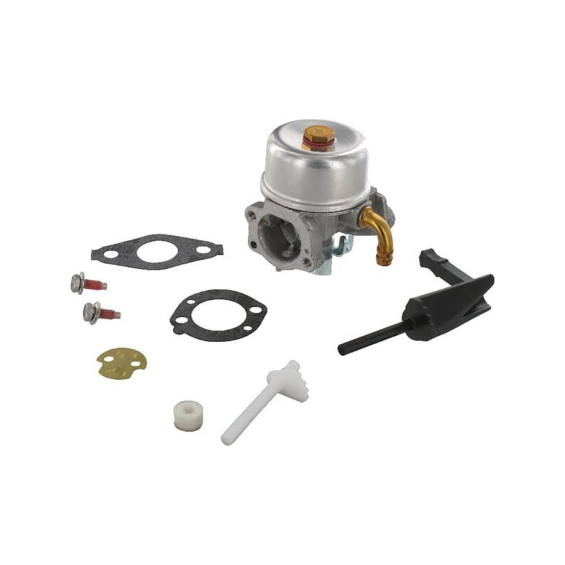 Carburateur Briggs et Stratton - 591299