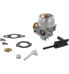 Carburateur Briggs et Stratton - 591299