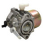 Carburateur Briggs et Stratton - 497581