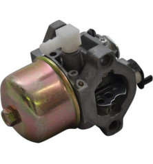 Carburateur Briggs et Stratton - 497581