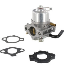 Carburatore Briggs e Stratton - 492256