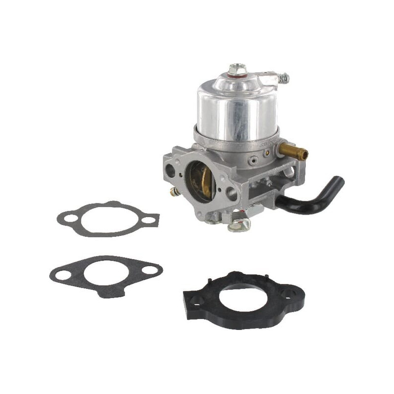 Carburatore Briggs et Stratton - 492256