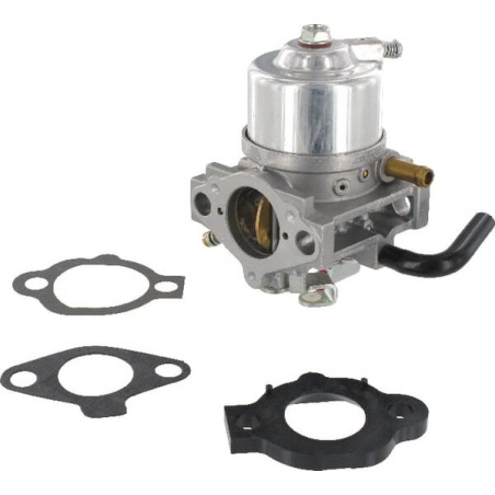 Carburatore Briggs e Stratton - 492256