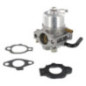 Carburatore Briggs et Stratton - 492256