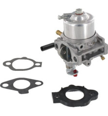 Carburatore Briggs e Stratton - 492256 2