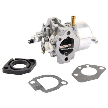 Carburatore Briggs e Stratton - 491912WM