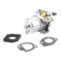 Carburador Briggs et Stratton - 491912