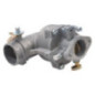 Carburatore Briggs e Stratton - 390323