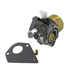 Carburador Briggs e Stratton - 495784 - 494881