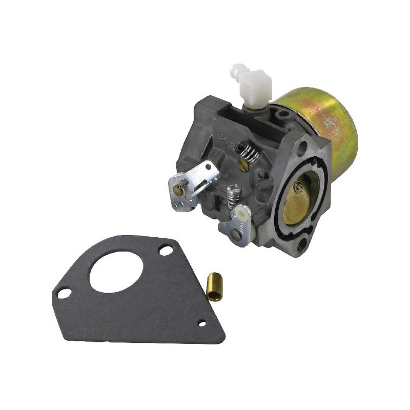 Carburador Briggs y Stratton - 495784 - 494881