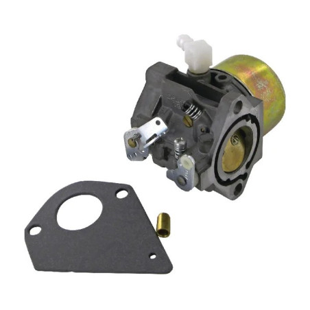 Carburador Briggs y Stratton - 495784 - 494881