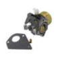 Carburateur Briggs et Stratton - 495784 - 494881