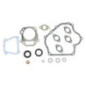 Seal kit, Briggs and Stratton engine - 715032