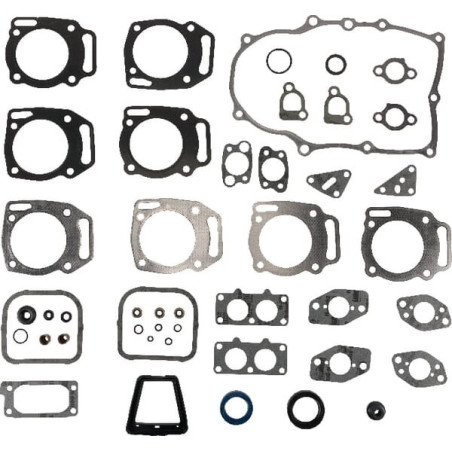 Kit de vedação do motor Briggs and Stratton - 847319