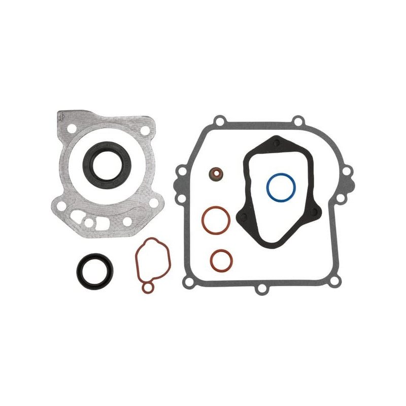 Kit di tenuta motore Briggs et Stratton - 595354