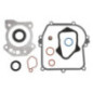 Kit di tenuta motore Briggs et Stratton - 595354