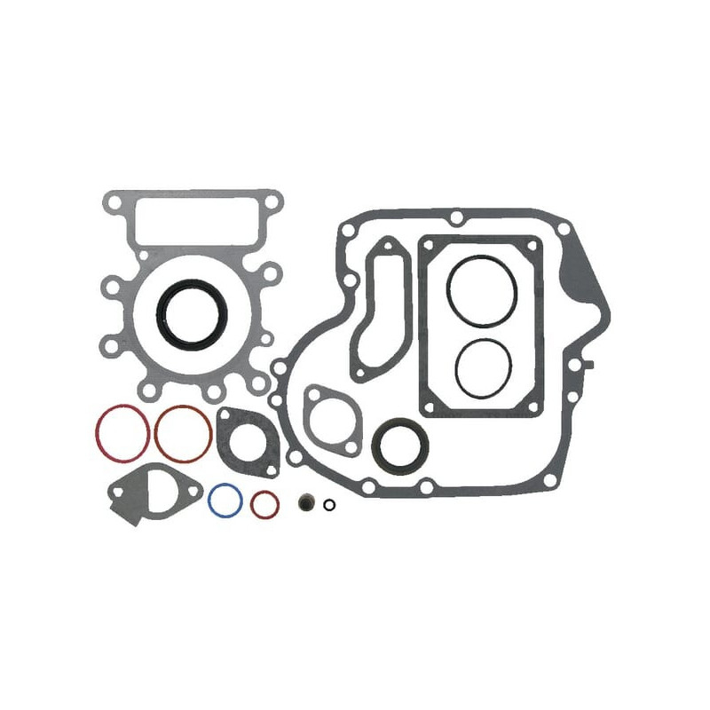 Motorsatz Briggs und Stratton - 593112