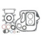 Motorsatz Briggs und Stratton - 593112