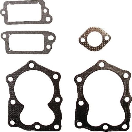 Kit de sellos de válvula Briggs and Stratton - 498528