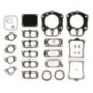 Pakkingset Briggs et Stratton - 841122
