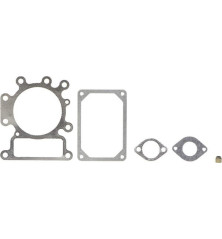 Kit de joints Briggs et Stratton - 794152