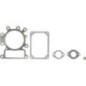 Pakkingset Briggs en Stratton - 794152
