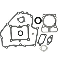 Kit guarnizioni Briggs e Stratton - 793623