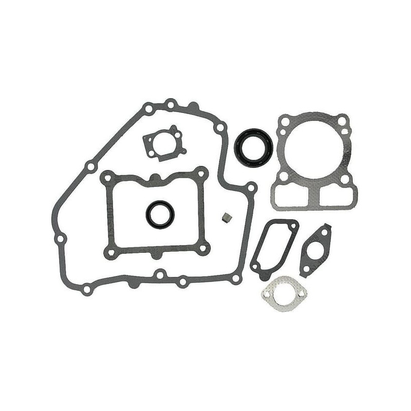 Kit guarnizioni Briggs e Stratton - 793623