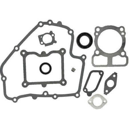 Kit guarnizioni Briggs e Stratton - 793623