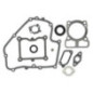 Kit guarnizioni Briggs e Stratton - 793623