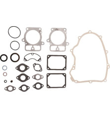 Kit de juntas Briggs e Stratton - 699823