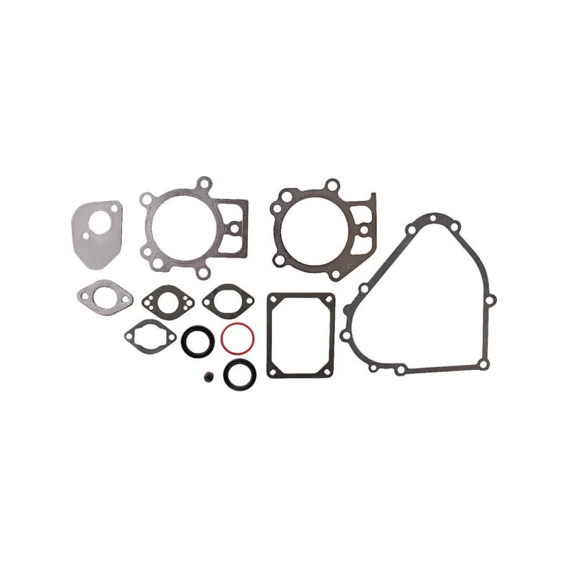 Kit de juntas Briggs e Stratton - 695438