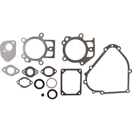 Kit de joints Briggs et Stratton - 695438