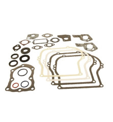 Kit guarnizioni Briggs e Stratton - 495603