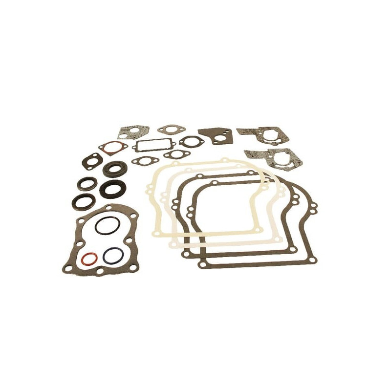 Kit de juntas Briggs e Stratton - 495603