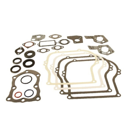 Kit guarnizioni Briggs e Stratton - 495603