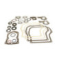 Kit de juntas Briggs e Stratton - 495603
