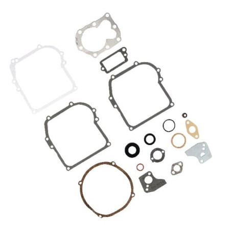 Kit de joint moteur Briggs et Stratton - 795971