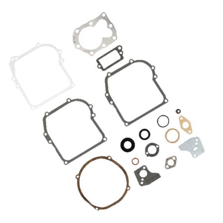 Kit de juntas de motor Briggs and Stratton - 795971