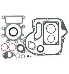 Seal - Briggs and Stratton engine - 594951