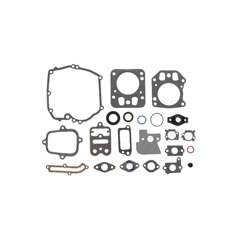 Motordichtungssatz Briggs und Stratton - - 499686 - 694090 - 792384 - 795442