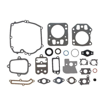 Kit guarnizioni motore Briggs e Stratton - - 499686 - 694090 - 792384 - 795442