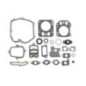 Kit guarnizioni motore Briggs e Stratton - - 499686 - 694090 - 792384 - 795442