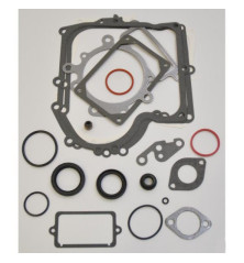 Kit guarnizioni Briggs e Stratton - 690189