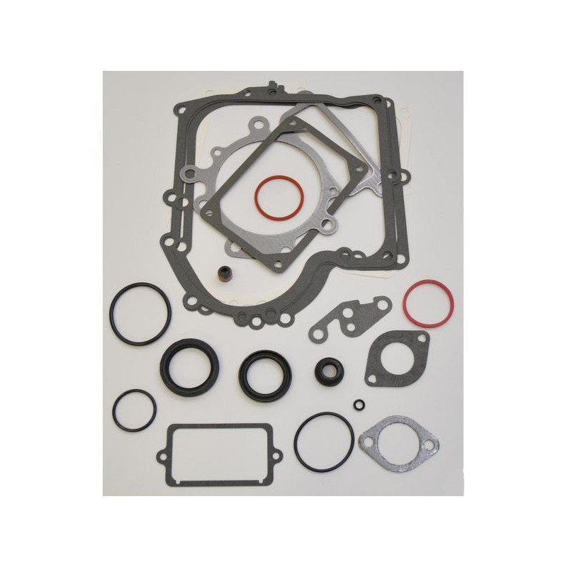 Kit de juntas Briggs y Stratton - 690189